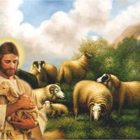 Good shepherd