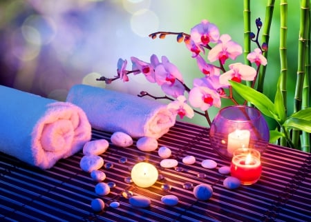 Orchid - stone, candles, orchid, light, bamboo