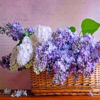 Lilac basket for Di