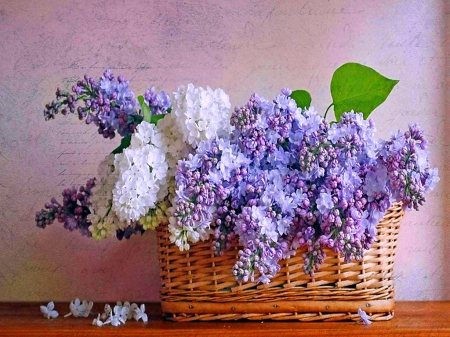 Lilac basket for Di - white, lilacs, mauve, flowers