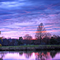 Beautiful Purple Weekend