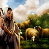 Good shepherd