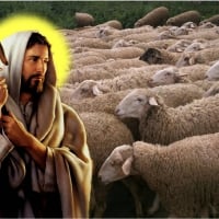 Good shepherd