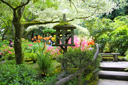 Japanese Garden - blossoms, green, japanese, garden, spring