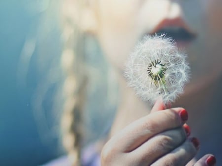 Make A Wish - adorable, dandelion, hand, braids, child, sweet, cute