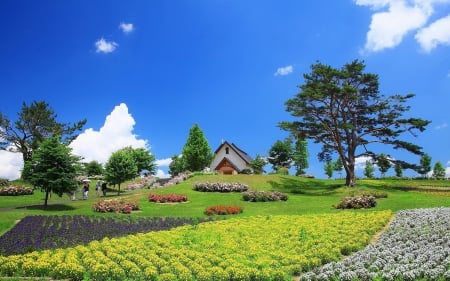 Beautiful landscape - nature, garden, landscape, grass, park, sky