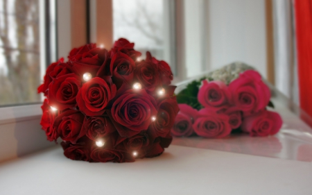 Red roses - red, roses, rose, beautiful, photo, window