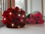 Red roses