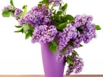 â™¥Lilac Flowersâ™¥