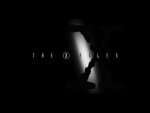 THE X FILES