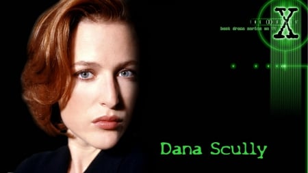 Dana Scully-The x Files - scully, tv, x, files