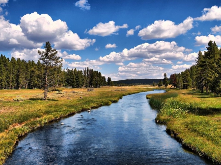 An open river - land, trees, flows, river