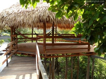 Treehouse Observation Deck in the Amazon Rain Forest - Amazon Rain Forest, treetops, deck, observation