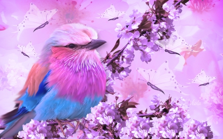 Bird and Blossoms - Viola Tricolor, bird, blossoms, sakura, cherry blossoms, butterflies, spring, purple, design, violet, art