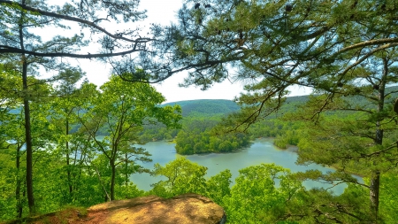 a bluff overlooking the arkansas river - rock, river, bluff, forest