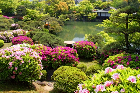 Spring park - lake, trees, park, summer, spring, serenity, bushes, calm, nature, tranquil, beautiful, flowers, garden, pond