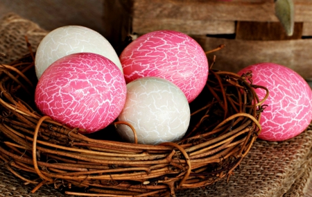 Happy Easter! - white, nest, pink, easter, egg