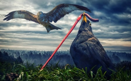 Situation - bird, blue, raven, grass, photomanipulation, black, eagle, crow, fly, red, green, wings, cloud, situation, worm