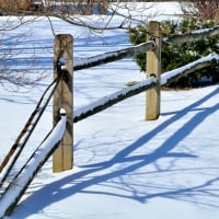 Snowy Winter Fence