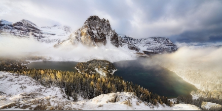 foggy mountain - forest, cool, fun, nature, mountain