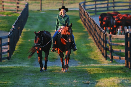 Cowgirl Charmayne James On the Ranch - cowgirl, Charmayne James, horses, fences, ranch, horse