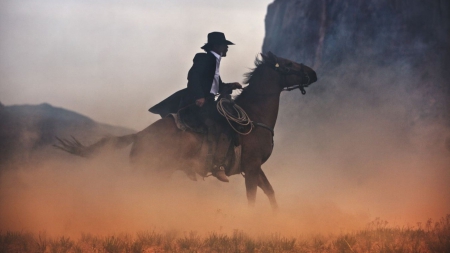 cows - dust, western, art, horse, cowboys, cows