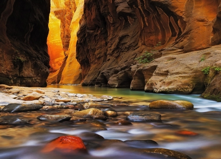 The Inner Canyon Glow, Zion Narrows - turquoise, erosion, utah, cliff, rocks, creek, river, beautiful, red, golden