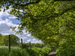 fence along a road in the countryside