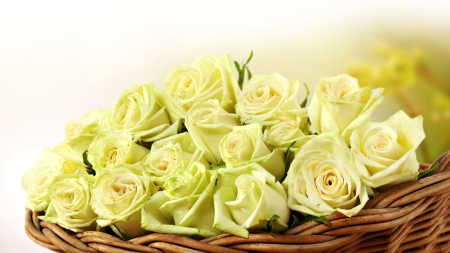 Dedicated to my dear friend Muhammad.. Oriental man - roses, flowers, bunch, yellow