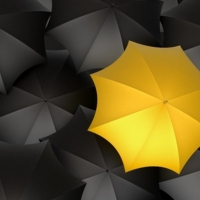 Yellow umbrella