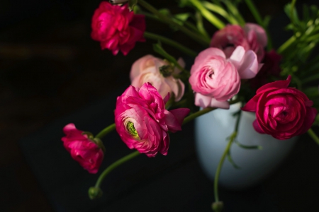 The time has come again ... - pink, beautiful, flowers, still life, vase