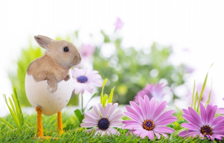 Easter - bokeh, eggs, easter eggs, easter, happy easter, flowers