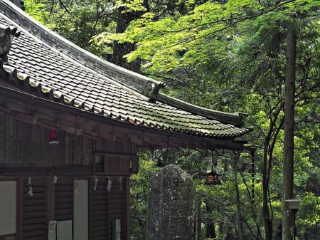 Japanese Temple - japan, lantern, shrine, japanese, pagoda, temple, asian