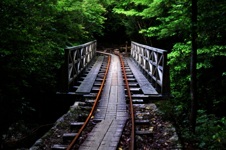 Ancient Day - nature, railway, ancient, japan, forest, japanese, bridge