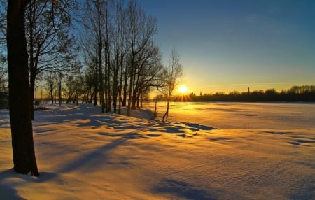 Winter Sunset - sun, beije, reflections, amazing, yellow, cold, cool, snowy, light, wallpaper, ature, nature, beautiful, mirror, dawn, snow, photoshop, seasons, sunrise, nice, sky, sunshine, trees, photography, silhouettes, clouds, sunsets, shadows, winter, gold, bright, blue, twilight, awesome, photo, reflex