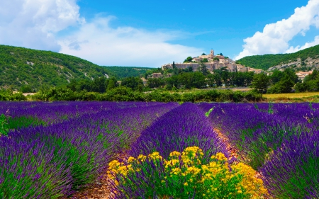 Splendor - flowers, clouds, nature, flowers field, splendor, field, sky