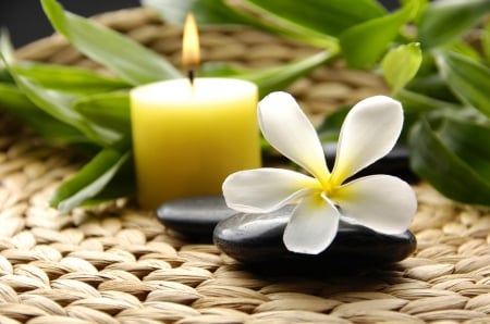 Spa - stone, candle, light, candles, flowers, stones, spa, flower, lights, plumeria