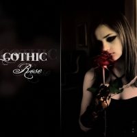 Gothic Rose