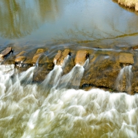 Flowing Nature