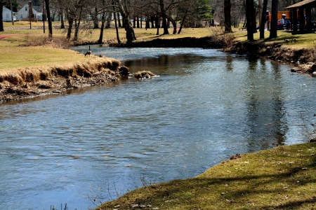 A Day In The Park - a day in the park, relaxing scene, scenic park, tranquil scene