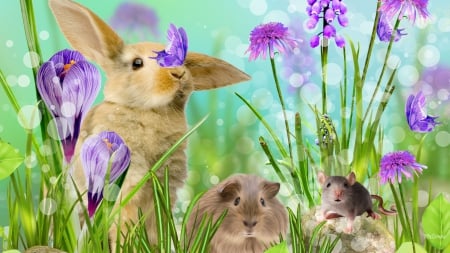 Bunny's Furry Friends - rabbit, hampster, mouse, spring, bunny, Easter, flowers, butterfly, crocus