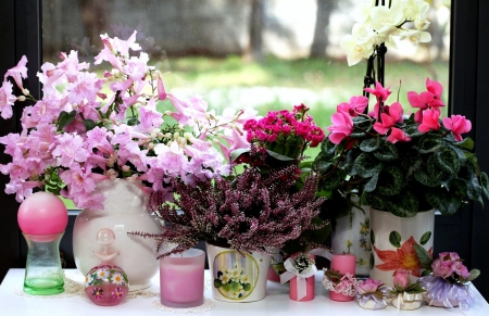 Flowers In The Window - flowers, window, pink, candles