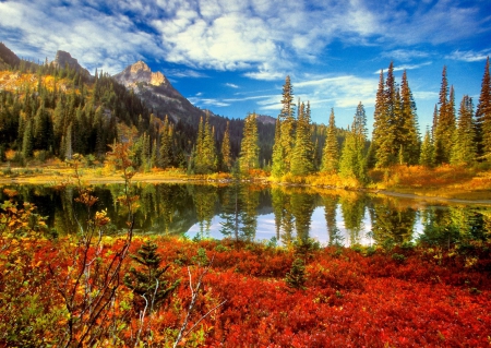 Autumn Lake - clouds, trees, yellow, lagoon, beautiful, grass, forest, reflection, mountain, autumn, red