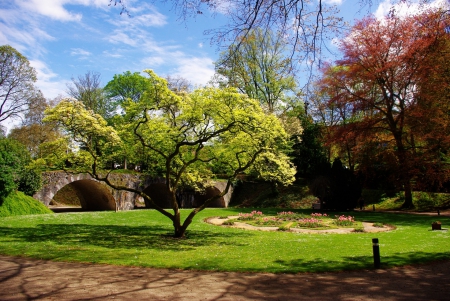 Gorgeous Park in Spring