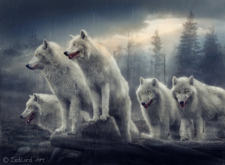 Wolves - wolves, abstract, fantasy, animals