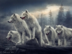 Wolves