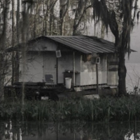 Interesting Swamp House