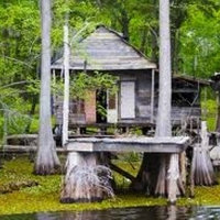 Interesting Swamp House