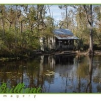 Small house on a bayou