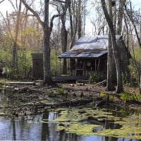 Quaint little House on the Bayou